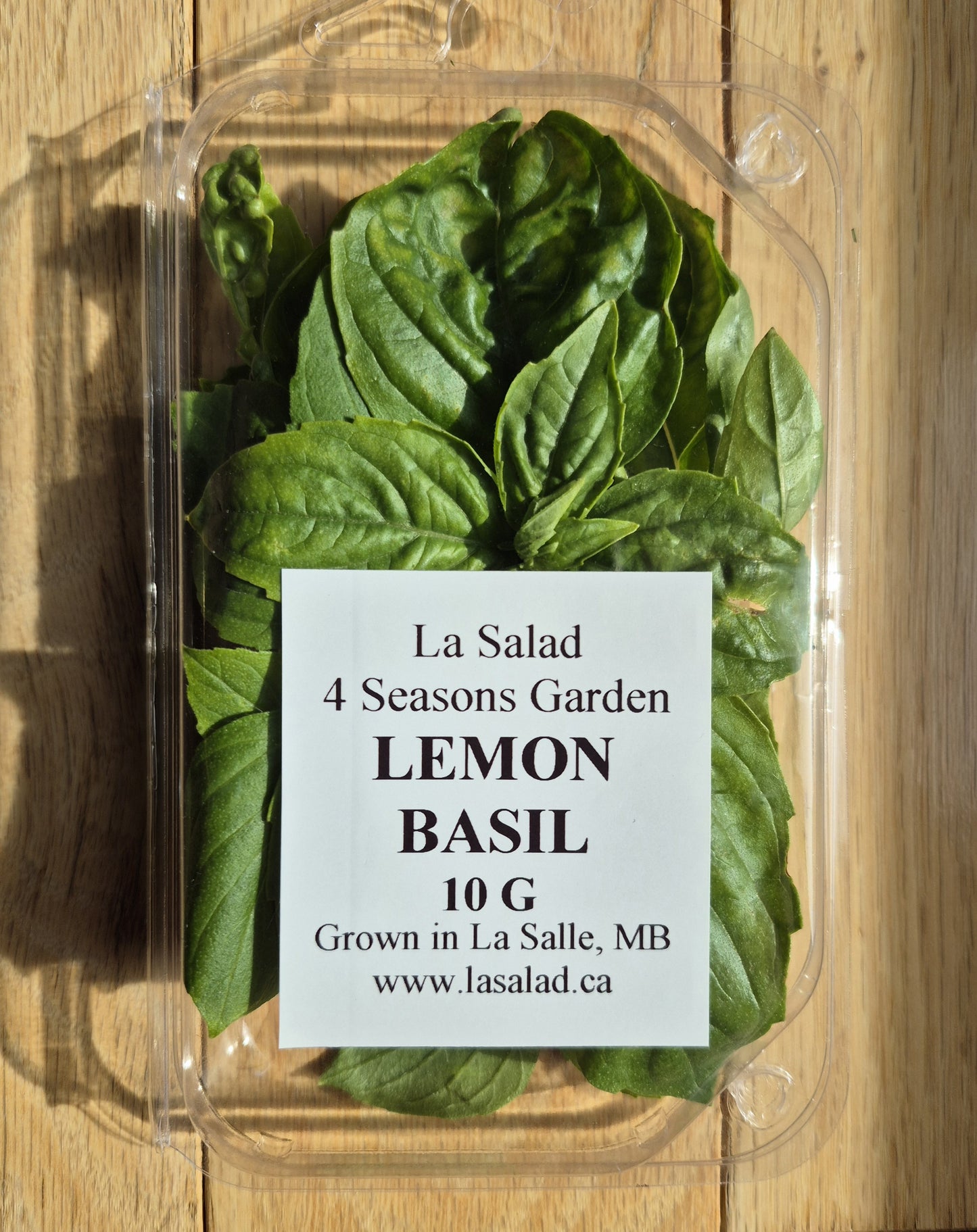 Lemon Basil